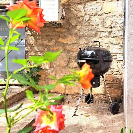 Be Free-central-free Parking-garden-bbq Apartment *